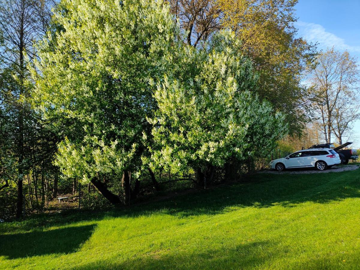 Wczasy Mazurskie - Domek Caloroczny Bez Mazury Moldzie Exterior foto